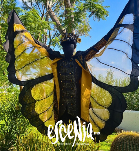 Escenia Mariposas
