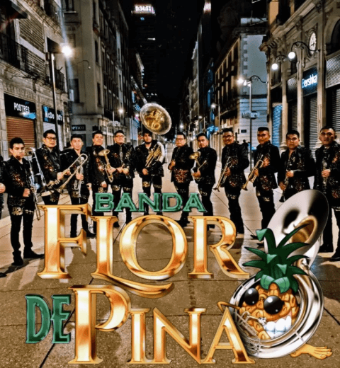 Banda Flor de Piña