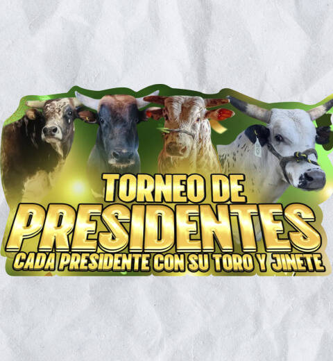 Torneo de Presidentes
